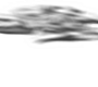 Vorhersage